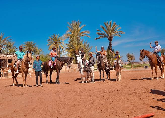 Balade à Cheval dans la Palmeraie – paysage de la Palmeraie