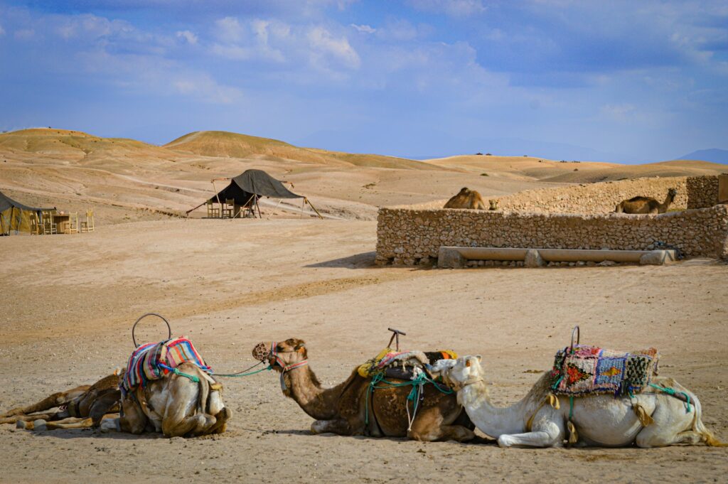 Excursion Désert d'Agafay – desert scenery
